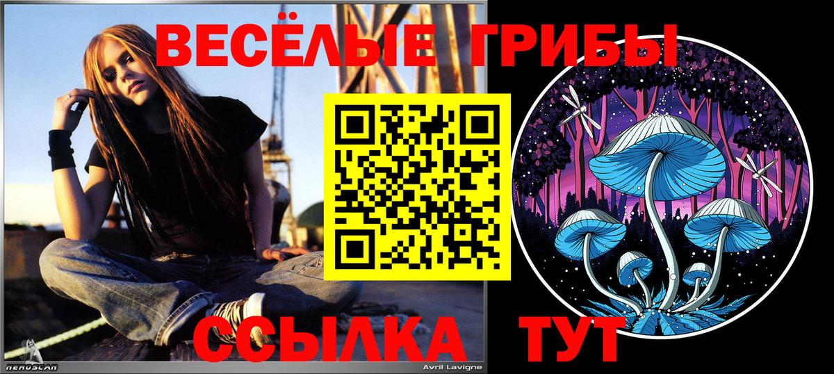 Кизляр  Галлюциногенные грибы MAGIC MUSHROOMS  Вход с VPN 