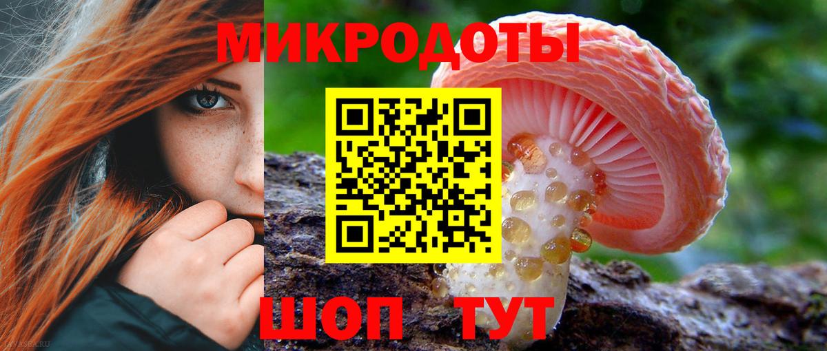Псилоцибиновые грибы Magic Shrooms Кизляр